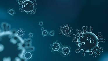 In the face of the Virus-the World is one family